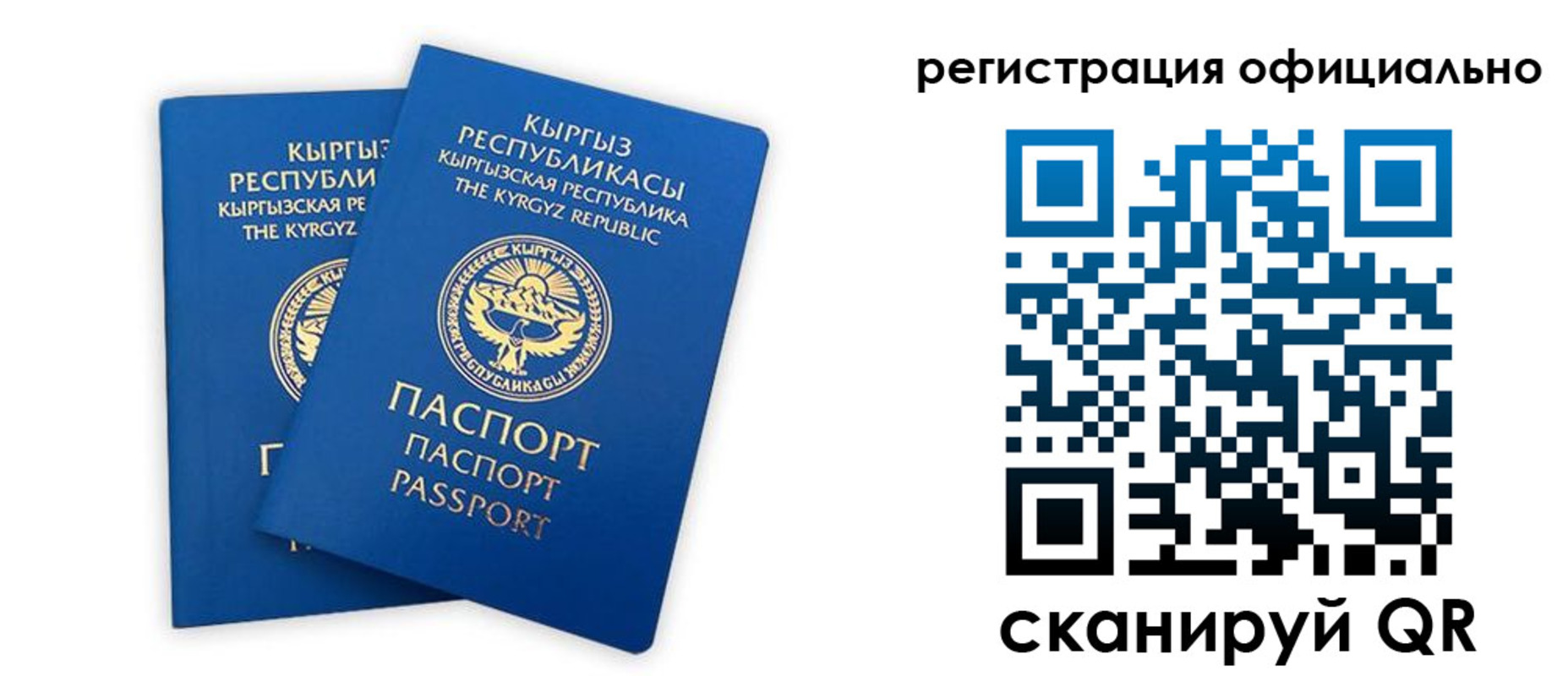 прописка поиск в Кирсе